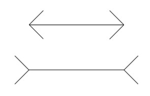 Obrázek 2: Müller-Lyerova iluze